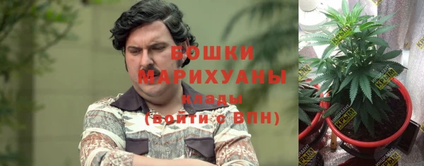 ECSTASY Богородск
