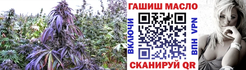 блэк спрут вход Конаково Дистиллят ТГК THC oil