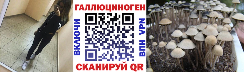 KRAKEN как зайти  Конаково  Галлюциногенные грибы Psilocybe 