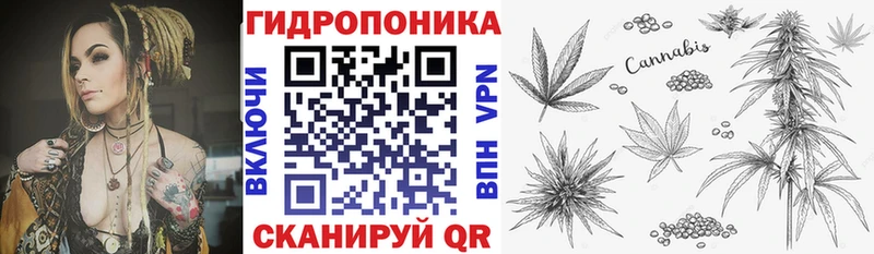 как найти наркотики  мега онион  МАРИХУАНА сатива  Конаково 